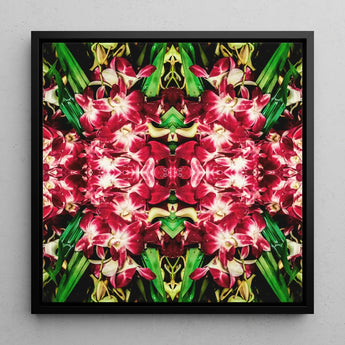 Ruby Reds - Bkk Flower Market Orchid Op Art Print / Canvas Vibrant Symmetrical Floral Artwork Deep Red White Orchids Bangkok’s Flower,