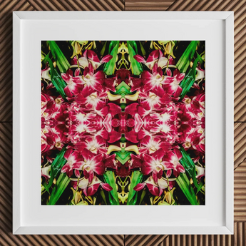 Ruby Reds - Bkk Flower Market Orchid Op Art Print / Canvas Vibrant Symmetrical Print Magenta White Orchids Green Leaves Bangkok’s Flower,