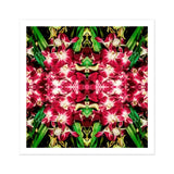Ruby Reds - Bkk Flower Market Orchid Op-Art-Print / Leinwand, Poster, Drucke & visuelle Kunstwerke, Toby Leon