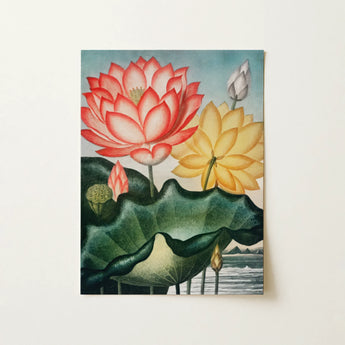 Sacred Egyptian Bean - Robert John Thornton Art Print / Canvas, 12x16’’ / 31x41cm / Unframed / no Border, Posters Prints & Visual Artwork,