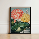 Sacred Egyptian Bean - Robert John Thornton Art Print / Canvas Framed Botanical Illustration Vibrant Red Yellow Lotus Flowers, Thornton’s