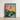 Framed Botanical Illustration Vibrant Red Yellow Lotus Flowers Robert John Thornton, Sacred Egyptian Bean, Thornton’s