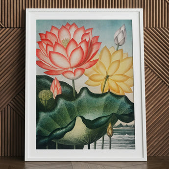Sacred Egyptian Bean - Robert John Thornton Art Print / Canvas Framed Botanical Illustration Vibrant Pink Lotus Bloom Alongside, Thornton’s