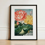 Sacred Egyptian Bean - Robert John Thornton Art Print / Canvas Framed Botanical Illustration Vibrant Pink Yellow Lotus Flowers, Thornton’s