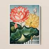 Sacred Egyptian Bean - Robert John Thornton Art Print / Canvas Framed Botanical Illustration Vibrant Pink Yellow Lotus Flowers, Thornton’s