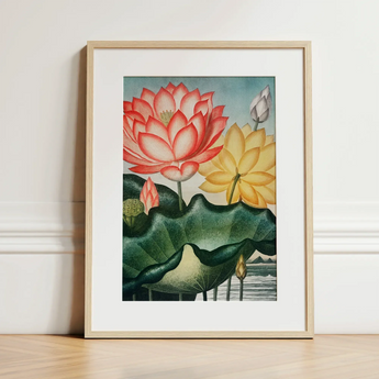 Sacred Egyptian Bean - Robert John Thornton Art Print / Canvas Framed Botanical Illustration Vibrant Pink Yellow Lotus Flowers Robert John