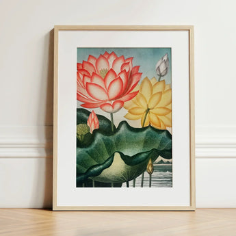 Sacred Egyptian Bean - Robert John Thornton Art Print / Canvas Framed Botanical Illustration Vibrant Pink Yellow Lotus Flowers, Thornton’s