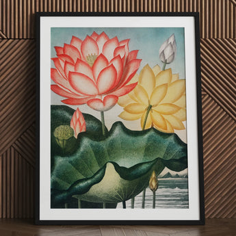 Sacred Egyptian Bean - Robert John Thornton Art Print / Canvas Framed Botanical Illustration Vibrant Pink Yellow Lotus Flowers, Thornton’s