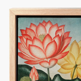 Sacred Egyptian Bean - Robert John Thornton Art Print / Canvas Framed Vibrant Red Lotus Flower Delicate, Thornton’s Prints