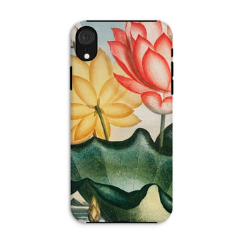 Sacred Egyptian Bean - Robert John Thornton Phone Case Iphone Xr / Matte Floral-patterned Phone Case Sacred Egyptian Bean, Bean Unfurls,