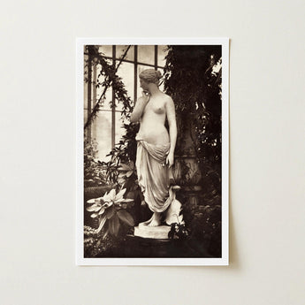 Sculpture of Venus Art Print / Canvas Marble Turns, Sepia Toning Warms, Passionflower Vines Climb, Wrought-iron Orangery, Weight Shifted