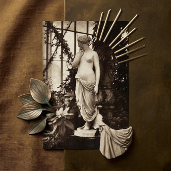 Sculpture of Venus Art Print / Canvas Vintage-style Black-and-white Photograph Classical Marble Statue Framed Decorative Turns, Sepia