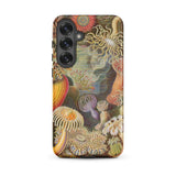 Sea Anemones - Ernst Haeckel Phone Case, Samsung Galaxy S25 Plus / Matte, Mobile Cases, Toby Leon