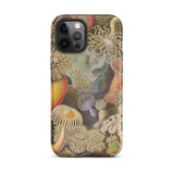 Sea Anemones - Ernst Haeckel Phone Case Iphone 12 Pro Max / Matte Sea Anemone Patterned Phone Case Ernst Haeckel, Sentient Flares,