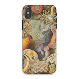 Sea Anemones - Ernst Haeckel Phone Case Iphone Xs / Matte Sea Anemone Patterned Phone Case Ernst Haeckel, Sentient Flares, Cup-spined