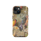 Sea Anemones - Ernst Haeckel Phone Case Iphone 15 / Matte Sea Anemone Patterned Phone Case Ernst Haeckel, Sentient Flares, Cup-spined