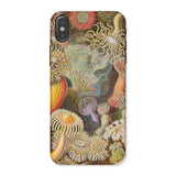 Sea Anemones - Ernst Haeckel Phone Case Iphone x / Matte Sea Anemone Patterned Phone Case Ernst Haeckel, Sentient Flares, Cup-spined
