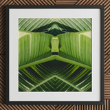 Semaphore - Botanischer Op-Art-Print mit Palmwedel / Leinwand, 12x12’’ / 31x31cm / Schwarzer Rahmen / Passepartout, Poster, Drucke & visuelle Kunstwerke, Toby