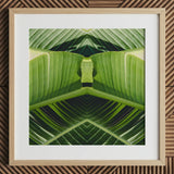Semaphore - Botanischer Op-Art-Print mit Palmwedel / Leinwand, 12x12’’ / 31x31cm / Naturrahmen / Passepartout, Poster, Drucke & visuelle Kunstwerke, Toby