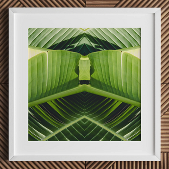 Semaphore - Botanischer Op-Art-Print mit Palmwedel / Leinwand, 12x12’’ / 31x31cm / Weißer Rahmen / Passepartout, Poster, Drucke & visuelle Kunstwerke, Toby