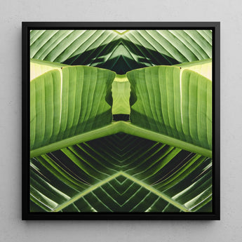 Semaphore - Botanischer Op-Art-Print mit Palmwedel / Leinwand, 12x12’’ / 31x31cm / Schwarzer Rahmen, Poster, Drucke & visuelle Kunstwerke, Toby Leon