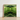 Square-framed Artwork Symmetrical Kaleidoscopic Design Vibrant Green Banana Palm Frond Botanical, Verdant Vortex, Op Art