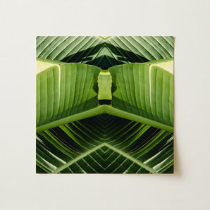 Semaphore - Palm Frond Botanical Op Art Print / Canvas, Palm Frond Botanical, Verdant Vortex, Botanical Op Art