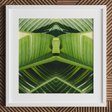 Semaphore - Palm Frond Botanical Op Art Print / Canvas Framed Photographic Print Symmetrical Kaleidoscopic Design Vibrant Green Palm Frond