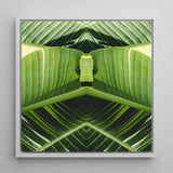 Semaphore - Palm Frond Botanical Op Art Print / Canvas Framed Square Symmetrical Kaleidoscopic Design Vibrant, Verdant Vortex, Prints