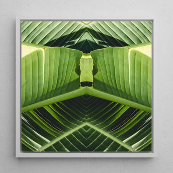 Semaphore - Palm Frond Botanical Op Art Print / Canvas Framed Square Symmetrical Kaleidoscopic Design Vibrant, Verdant Vortex, Prints