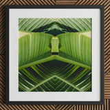 Semaphore - Palm Frond Botanical Op Art Print / Canvas Framed Symmetrical Kaleidoscopic Design Vibrant, Verdant Vortex, Prints