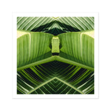 Semaphore - Palm Frond Botanical Op Art Print / Canvas Mirrored Green Banana Leaves Symmetrical Geometric Pattern, Verdant Vortex, Prints
