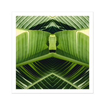 Semaphore - Palm Frond Botanical Op Art Print / Canvas Mirrored Green Banana Leaves Symmetrical Geometric Pattern, Verdant Vortex, Prints