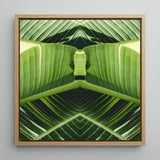 Semaphore - Palm Frond Botanical Op Art Print / Canvas Square-framed Artwork Symmetrical Kaleidoscopic Design Vibrant Green Banana, Verdant