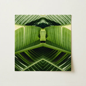 Semaphore - Palm Frond Botanical Op Art Print / Canvas Square Symmetrical Kaleidoscopic Design Vibrant Green, Verdant Vortex, Prints