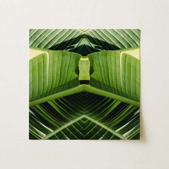 Semaphore - Palm Frond Botanical Op Art Print / Canvas Square Canvas Print Symmetrical Kaleidoscopic Design Vibrant Green Palm Frond