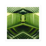 Semaphore - Botanischer Op-Art-Print mit Palmwedel / Leinwand, 12x12’’ / 31x31cm / Ungerahmt / Weißer Rand, Poster, Drucke & visuelle Kunstwerke, Toby