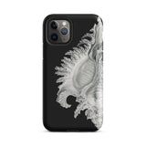 Shell - Ernst Haeckel Black & White Sea Life Iphone Case, 11 Pro / Matte, Black Phone Case Seashell Design
