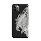 Shell - Ernst Haeckel Black & White Sea Life Iphone Case, 11 Pro Max / Matte, Black Phone Case Seashell Design