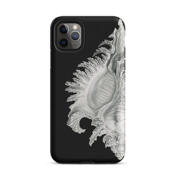 Shell - Ernst Haeckel Black & White Sea Life Iphone Case, 11 Pro Max / Matte, Black Phone Case Seashell Design