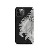 Shell - Ernst Haeckel Black & White Sea Life Iphone Case, 12 Pro / Matte, Black Phone Case Seashell Design