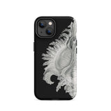 Shell - Ernst Haeckel Black & White Sea Life Iphone Case, 14 / Matte, Black Phone Case Seashell Design