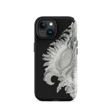 Shell - Ernst Haeckel Black & White Sea Life Iphone Case, 15 / Matte, Black Phone Case Seashell Design