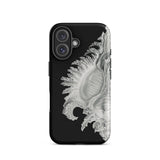 Shell - Ernst Haeckel Black & White Sea Life Iphone Case, 16 / Matte, Black Phone Case Seashell Design