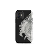 Shell - Ernst Haeckel Black & White Sea Life Phone Case Iphone 12 Mini / Matte Black Phone Case Seashell Design Ernst Haeckel Shell, Black,