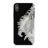 Shell - Ernst Haeckel Black & White Sea Life Phone Case Iphone Xs / Matte Black Phone Case Seashell Design Ernst Haeckel Shell, Black, Slow