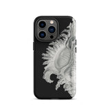 Shell - Ernst Haeckel Black & White Sea Life Phone Case Iphone 13 Pro / Matte Black Phone Case Seashell Design Ernst Haeckel Shell, Black,