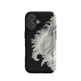 Shell - Ernst Haeckel Black & White Sea Life Phone Case Iphone 16 / Matte Black Phone Case Seashell Design Ernst Haeckel Shell, Black, Slow