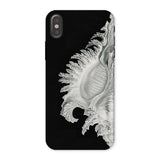 Shell - Ernst Haeckel Black & White Sea Life Phone Case Iphone x / Matte Black Phone Case Seashell Design Ernst Haeckel Shell, Black, Slow