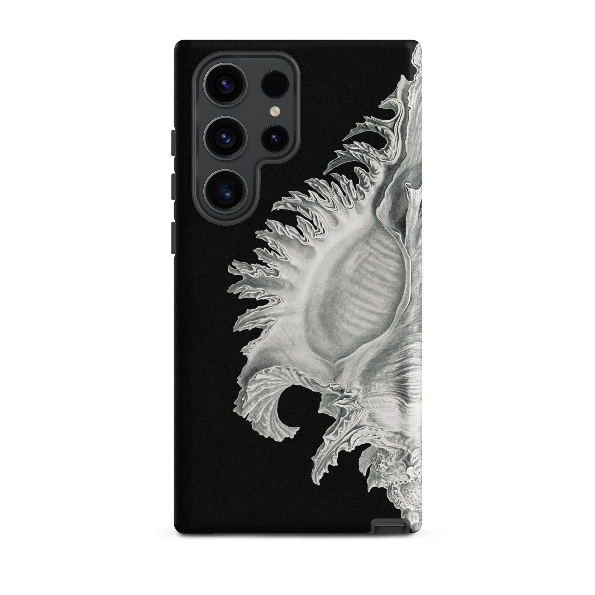 Shell - Ernst Haeckel Black & White Sea Life Samsung Case, Galaxy S23 Ultra / Matte, Phone Case Black Background Detailed Silvery-white